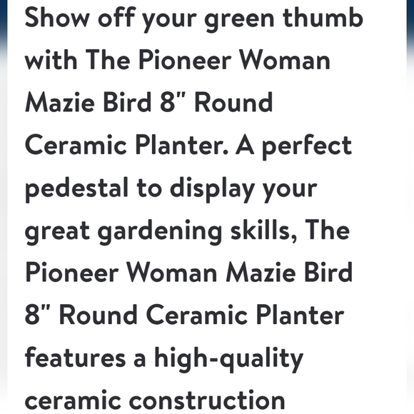 ❤️ New Mazie Bird 8" Cobalt Ceramic Planter from Pioneer Woman - Picture 4 of 8